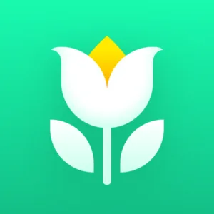 Plant Parent: Plant Care Guide